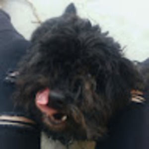 Meet your Posher, Hailey